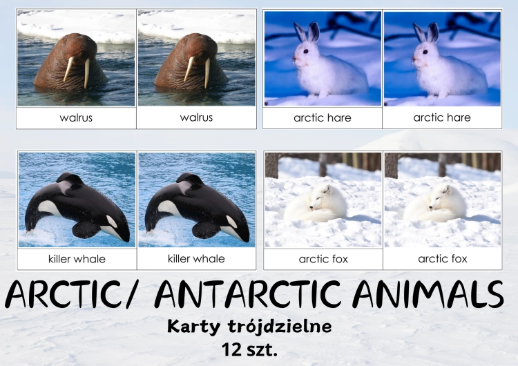 Bez tytułu (A4 (orientacja pozioma)) (1).png