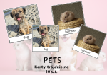 PETS karty trójdzielne