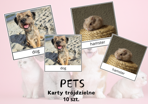 Bez tytułu (A4 (orientacja pozioma)) (7).png