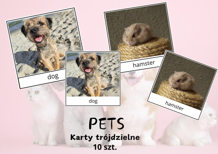Bez tytułu (A4 (orientacja pozioma)) (7).png