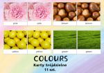 COLOURS karty trójdzielne