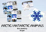 ARCTIC/ANTARCTIC ANIMALS Gra memory