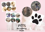 PETS Gra memory