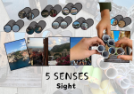 5 SENSES Sight