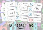NUMBERS 1-100 Puzzle