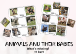 ANIMALS AND THEIR BABIES What’s missing?