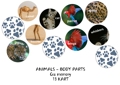 zdjęcia sklep (4).png