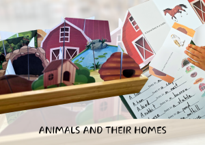 ANIMALS AND THEIR HOMES